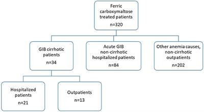 Efficacy and Safety of Treatment With Ferric Carboxymaltose in Patients With Cirrhosis and Gastrointestinal Bleeding